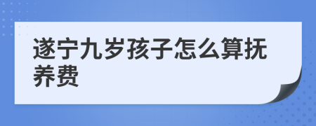 遂宁九岁孩子怎么算抚养费