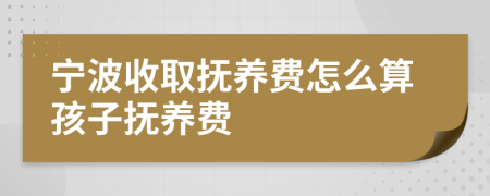 宁波收取抚养费怎么算孩子抚养费