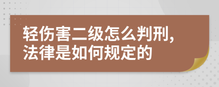 轻伤害二级怎么判刑,法律是如何规定的