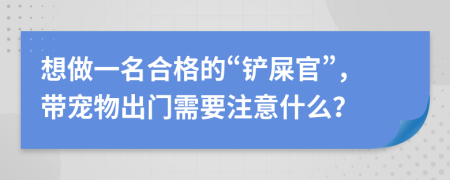 想做一名合格的“铲屎官”，带宠物出门需要注意什么？