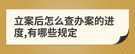 立案后怎么查办案的进度,有哪些规定