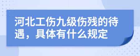 河北工伤九级伤残的待遇，具体有什么规定