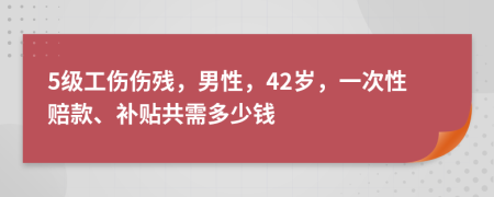 5级工伤伤残，男性，42岁，一次性赔款、补贴共需多少钱