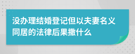 没办理结婚登记但以夫妻名义同居的法律后果撒什么