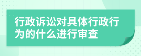 行政诉讼对具体行政行为的什么进行审查