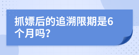 抓嫖后的追溯限期是6个月吗？