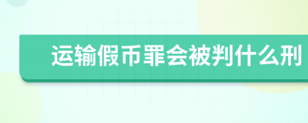 运输假币罪会被判什么刑