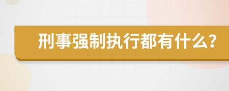 刑事强制执行都有什么？
