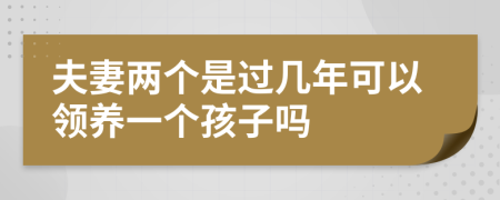 夫妻两个是过几年可以领养一个孩子吗