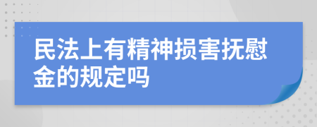 民法上有精神损害抚慰金的规定吗