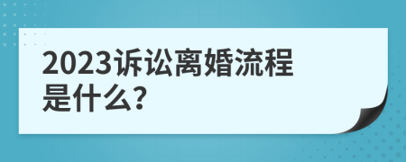 2023诉讼离婚流程是什么？
