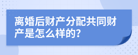 离婚后财产分配共同财产是怎么样的？