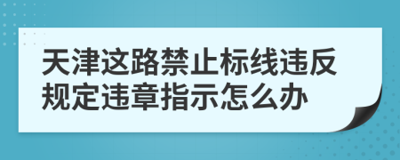 天津这路禁止标线违反规定违章指示怎么办