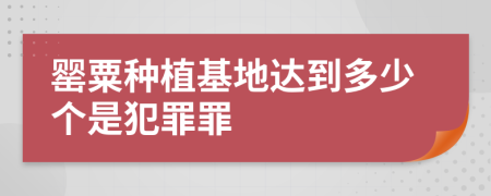 罂粟种植基地达到多少个是犯罪罪