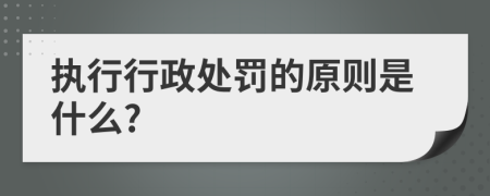 执行行政处罚的原则是什么?