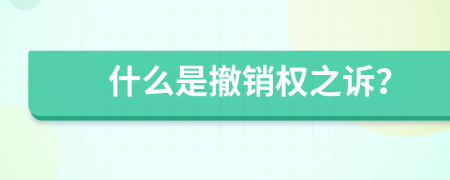 什么是撤销权之诉？