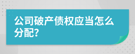 公司破产债权应当怎么分配？