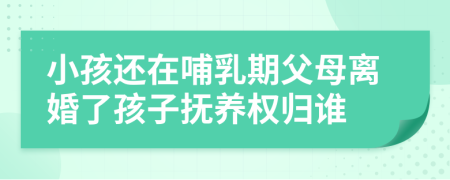 小孩还在哺乳期父母离婚了孩子抚养权归谁