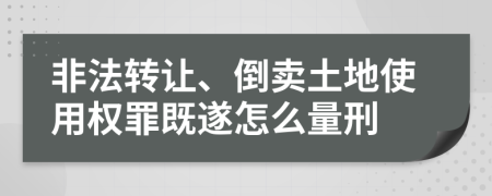 非法转让、倒卖土地使用权罪既遂怎么量刑