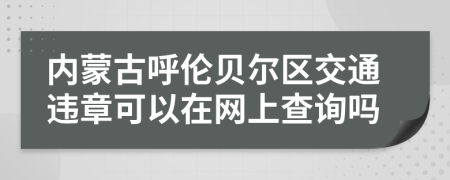 内蒙古呼伦贝尔区交通违章可以在网上查询吗