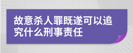 故意杀人罪既遂可以追究什么刑事责任