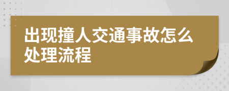 出现撞人交通事故怎么处理流程