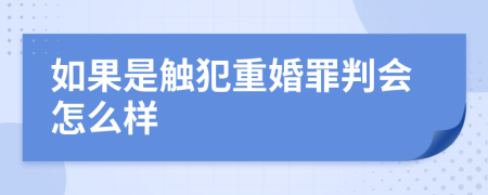 如果是触犯重婚罪判会怎么样