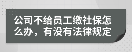 公司不给员工缴社保怎么办，有没有法律规定