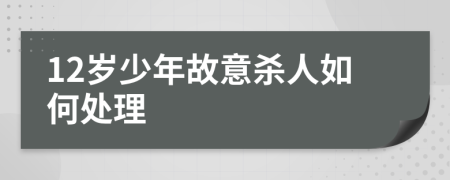 12岁少年故意杀人如何处理