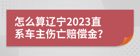 怎么算辽宁2023直系车主伤亡赔偿金？