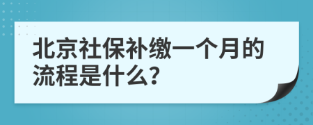 北京社保补缴一个月的流程是什么？