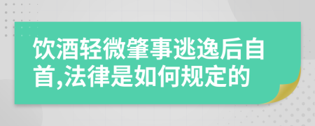 饮酒轻微肇事逃逸后自首,法律是如何规定的