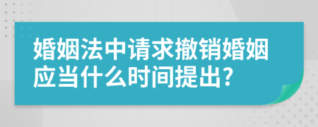 婚姻法中请求撤销婚姻应当什么时间提出?