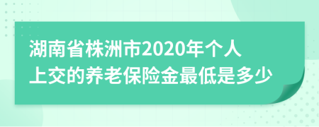 湖南省株洲市2020年个人上交的养老保险金最低是多少