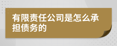 有限责任公司是怎么承担债务的