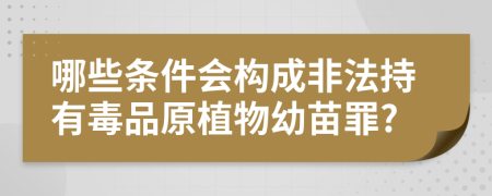 哪些条件会构成非法持有毒品原植物幼苗罪?