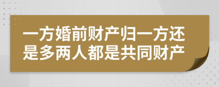 一方婚前财产归一方还是多两人都是共同财产