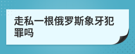 走私一根俄罗斯象牙犯罪吗