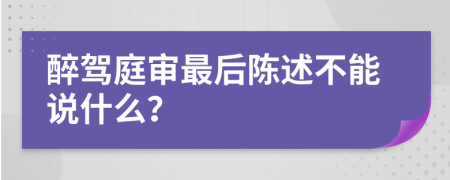 醉驾庭审最后陈述不能说什么？