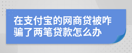 在支付宝的网商贷被咋骗了两笔贷款怎么办