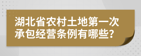 湖北省农村土地第一次承包经营条例有哪些？