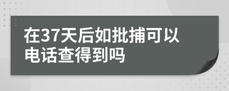 在37天后如批捕可以电话查得到吗