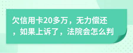 欠信用卡20多万，无力偿还，如果上诉了，法院会怎么判