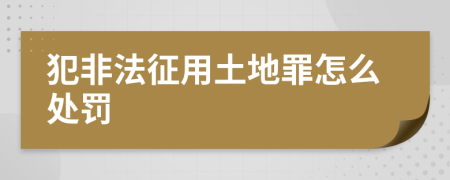 犯非法征用土地罪怎么处罚