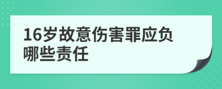 16岁故意伤害罪应负哪些责任