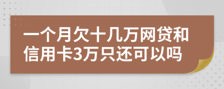 一个月欠十几万网贷和信用卡3万只还可以吗