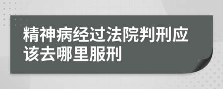 精神病经过法院判刑应该去哪里服刑