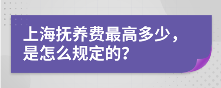 上海抚养费最高多少，是怎么规定的？