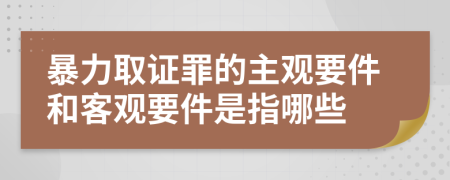 暴力取证罪的主观要件和客观要件是指哪些