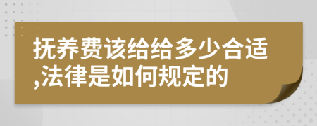 抚养费该给给多少合适,法律是如何规定的